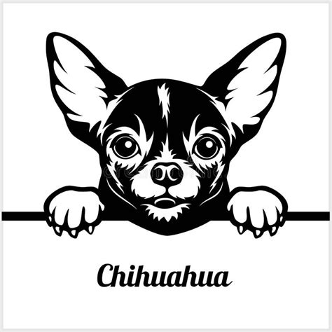Chihuahua Pies Ilustracji Ilustracja Z O Onej Z Figlarnie
