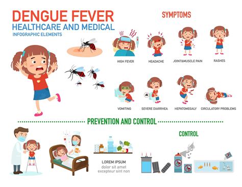 Dengue Symptoms Precautions Gbh American Hospital