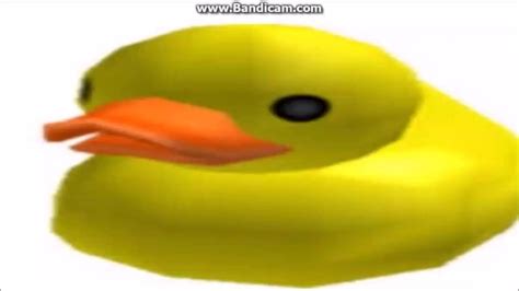 Duck Memes Sketches Meme