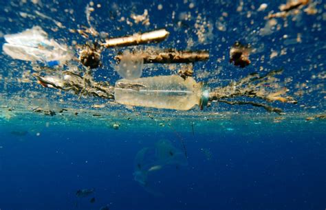 This Documentary Shows What Our Plastic Trash Is Doing To Animals And