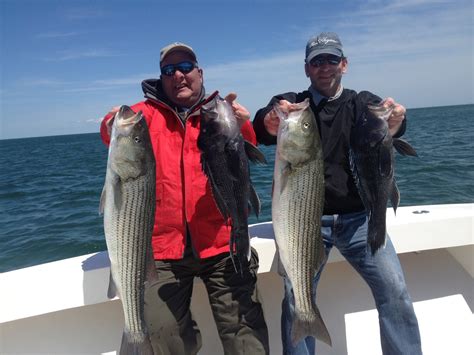 Charter Fishing For Striped Bass And Black Sea Bass On Cape Cod