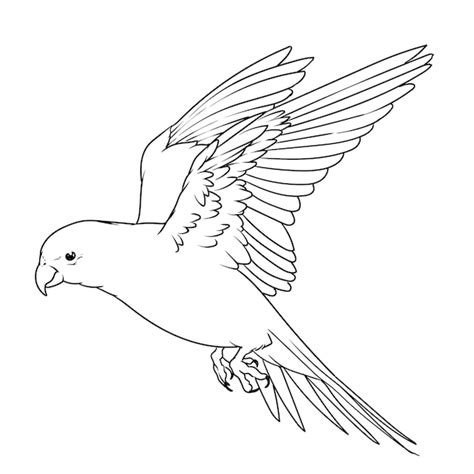 Premium Vector Flying Beautiful Bird Drawing Line Art