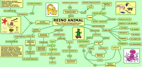 Reino Animal Web Itif Centrobiologia