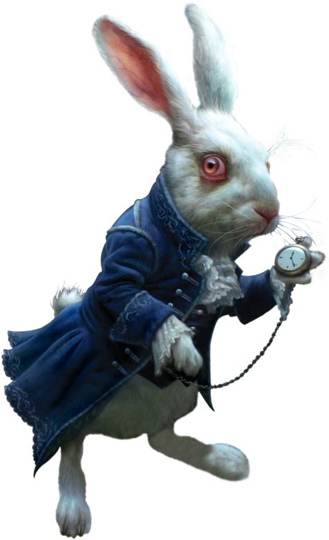 Download Яндекс Фотки Alice In Wonderland White Rabbit Png Hd