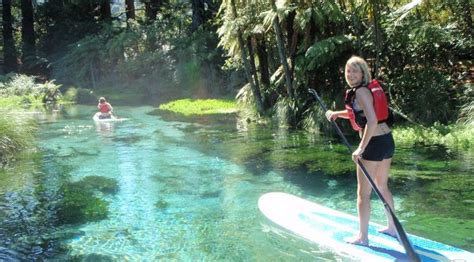 Paddleboarding New Zealand A Great Way To Explore Paddle Boarding