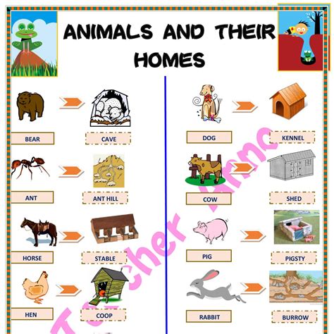 Animals And Their Homepdf Docdroid