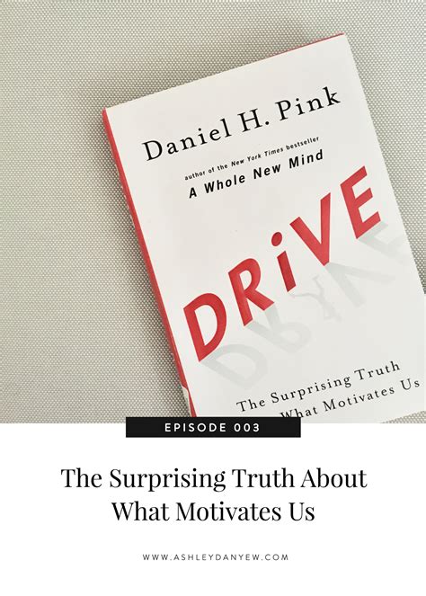 The Surprising Truth About What Motivates Us Ashley Danyew