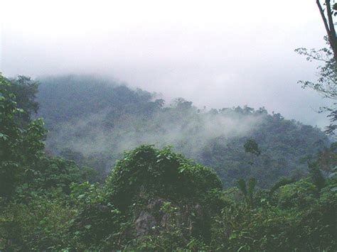 Climas De Ecuador Clima Tropical Húmedo