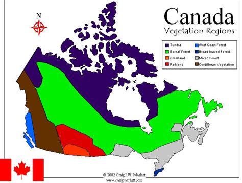 Canadainfo Images And Downloads Fact Sheets To Download Maps Vegetation