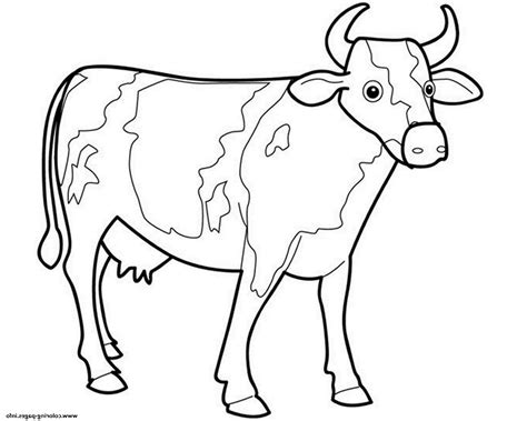 Vacas Para Colorear 🥇 ¡dibujos Para Imprimir Y Pintar