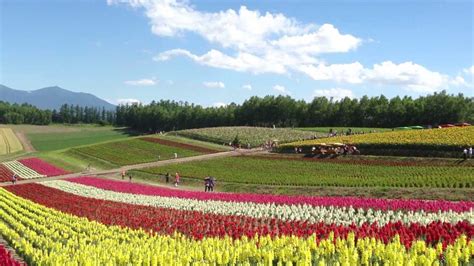 Flower Farm Hokkaido Japan Youtube