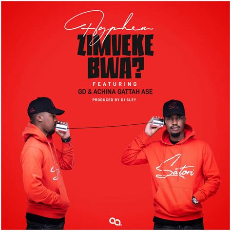 Zimveke Bwa Single By Mfumu Hyphen Spotify