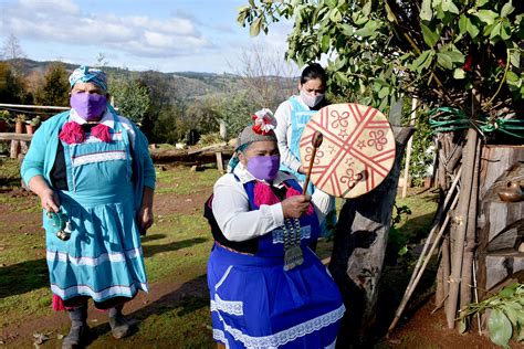 We tripantu o wüñoy tripantu es la celebración del año nuevo mapuche que se realiza en el solsticio de invierno austral (el día más corto del año en el hemisferio sur) entre el 21 y el 24 de junio. Autoridades hacen llamado a celebrar We Tripantu sin ...