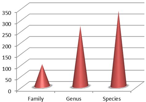 Cone Graph Represents Taxa Distribution Download Scientific Diagram