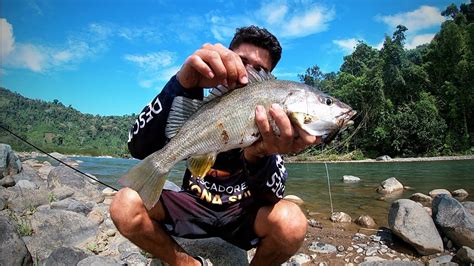 Pesca De Río Youtube