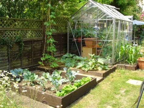 Vegetable Gardens For Small Yards Vegetable Garden Ideas