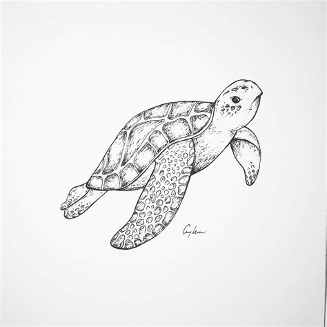 Tiny Ocean Art Turtle Ocean Drawing Collection Tropical Island Vibes