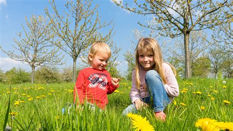 무료 이미지 경치 자연 잔디 사람들 소녀 햇빛 태양 목초지 놀이 소년 귀엽다 여름 봄 녹색 어린이 인간의 가족 유아 즐거움 금발 아웃