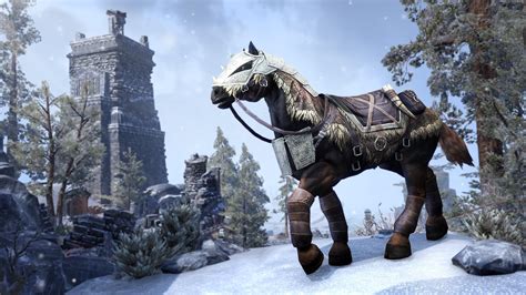 Thanks for submitting a report! The Elder Scrolls Online New Items In Crown Store ...