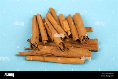 cinnamon sticks as a herbal medicine have been traditionally been used to treat toothache and