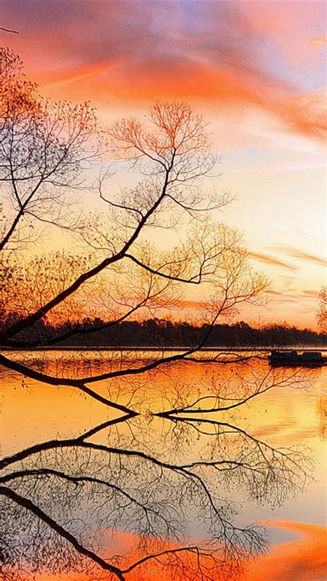 Lake Sunset Trees Landscape Beach Art Night Reflection Iphone 4s