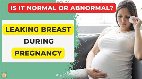 Leaking Breast During Pregnancy Leaking Nipples During Pregnancy Why
