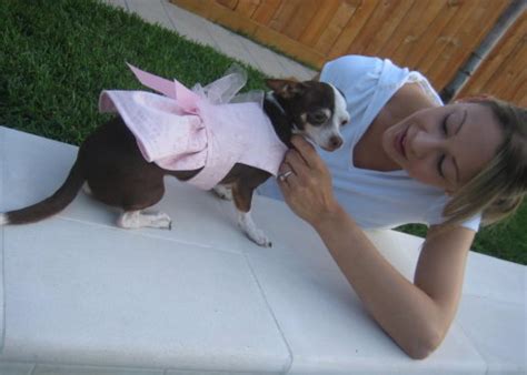 Dog breeding businesses have two ideal customers. How to Make Custom Dog Clothing | HGTV