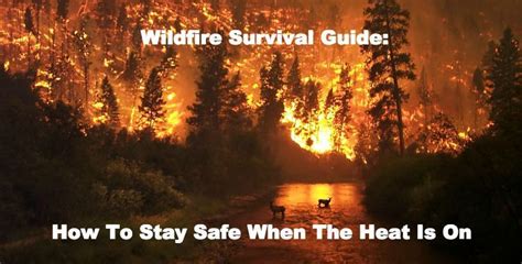 Wildfire Survival Tips How To Survive Natural Disasters Https
