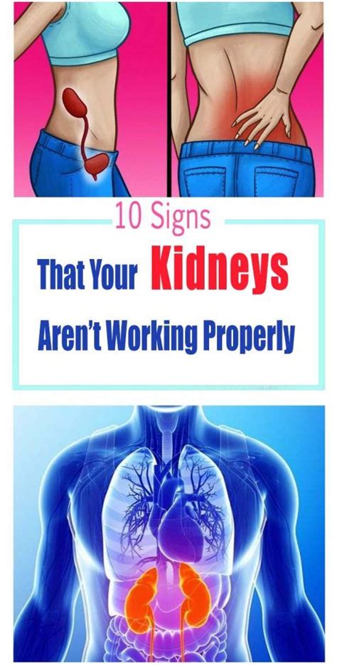 10 Signs That Your Kidneys Arent Working Properly Do Not Ignore