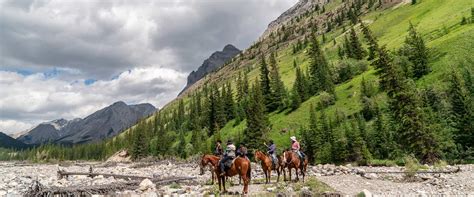 Banff Horseback Riding Tent Trips Banff Trail Riders