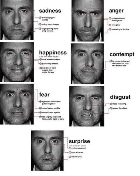 Dr Paul Ekman Has Spent 50 Years Studying Facial Micro Expressions Of