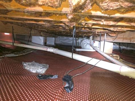 Get your free inspection today! Cowleys Pest Services - Crawl Space Encapsulation Photo ...