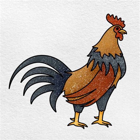 How To Draw A Rooster Helloartsy