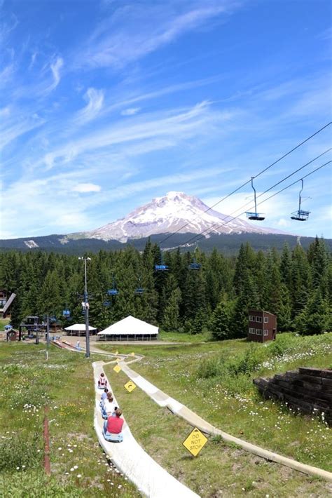 This Dual Alpine Slide In Oregon Is The Perfect Summer Adventure