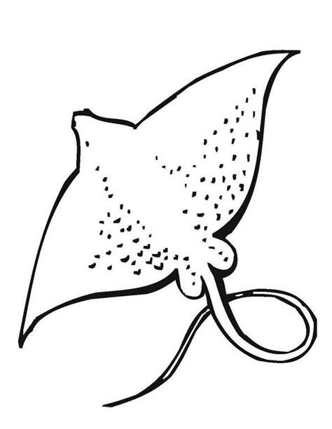 Printable Stingray Clipart Black And White Coloring Home
