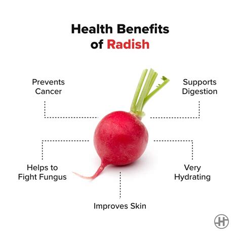 Radish Benefits Nutrition Value Recipes Healthifyme