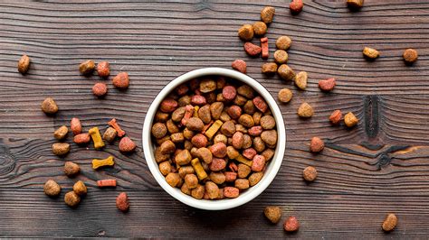 Karen becker pet pancreatitis and how to avoid it. Sunshine Mills issues recall for three dog food products ...