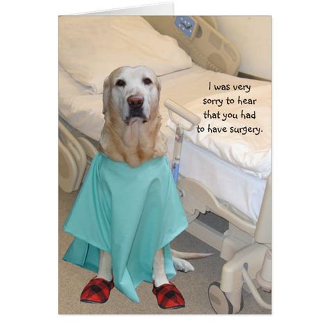 Funny Get Well Lab In Hospital Gown Card Zazzle