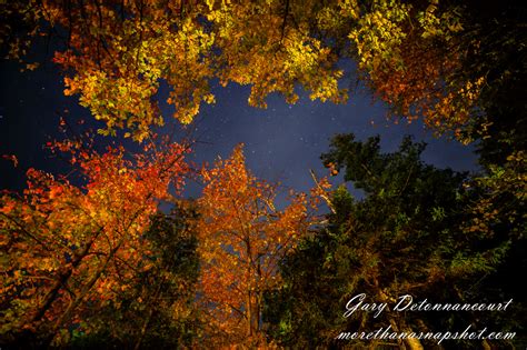 Fall Foliage And The Night Sky — More Than A Snapshot