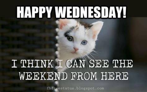 Happy Wednesday Morning Quotes With Beautiful Wednesday Images Funny Good Morning Memes Funny