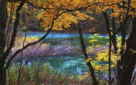 Blue Lake Goshikinuma Fukushima Japan Autumn Scenery Landscape Nature