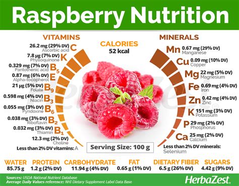 Discover The Nutritional Power Of Raspberries
