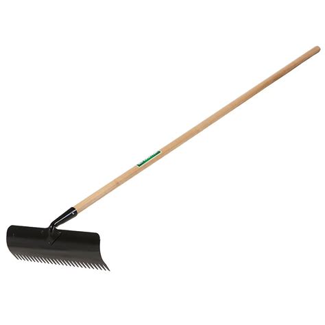 Garant Tdr26 34 Lb 26 Tine Dandelion And Thatching Rake With Steel