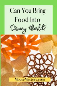 You can bring food and drink into the parks at disney world! Can You Bring Food Into Disney World? - Mouse Mastery