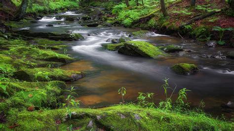 Flowing Spring Stream Photograph By Bill Wakeley Fine Art America