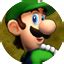 File Luigi Title Screen Mp Png Super Mario Wiki The Mario Encyclopedia