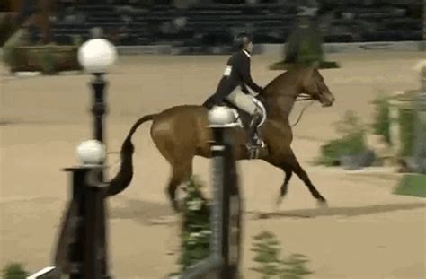 Ride Get Gif Find Share On Giphy
