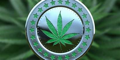 Weed Money Marijuana Bitcoin Drugs 420 Internet