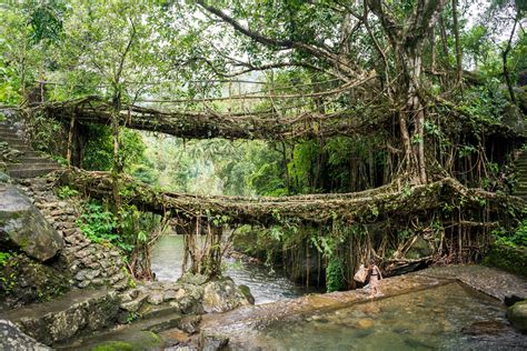 Nongriat And The Living Root Bridges Of Meghalaya Lost With Purpose