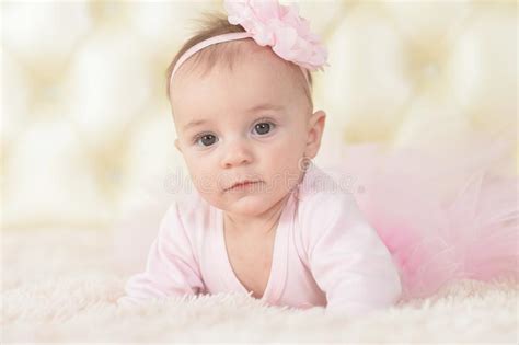 Cute Adorable Baby Girl Stock Photo Image Of Studio 118638528